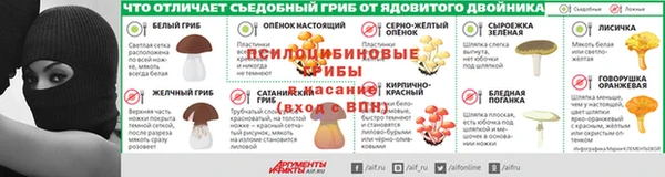 jwh Тайга