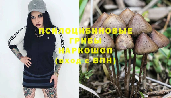 героин Тавда